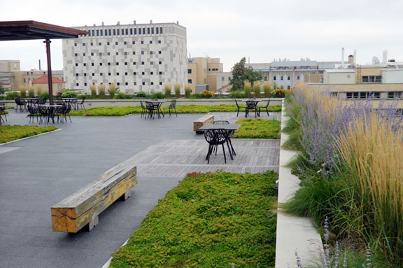 Green Infrastructure – Campus Planning & Landscape Architecture – UW–Madison